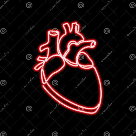 Neon Sign Single Continuous Line Art Anatomical Human Heart Silhouette