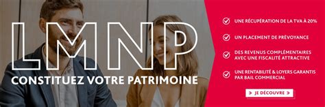 Tout Savoir Sur Le Lmnp D Finition Et Fonctionnement Lamotte