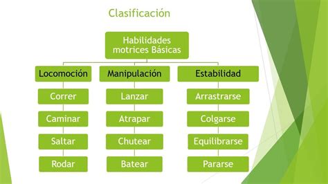 Ejemplos De Habilidades Motrices Luctatorias Brainly Lat