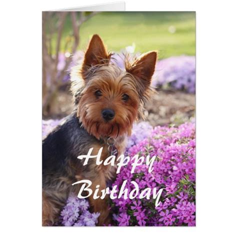 Yorkie Happy Birthday Card | Zazzle.com