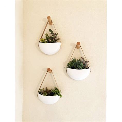 15 Best Hanging Indoor Planters For Your Home Paisley Plants