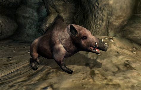 Oblivion Creature Images The Elder Scrolls Wiki