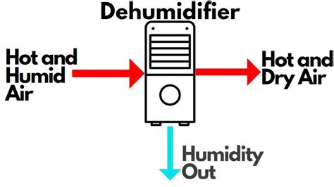 Ways To Reduce Indoor Humidity Naturally As Well Plumbing Sniper