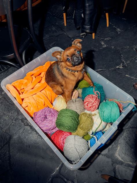 See Photos of Ella Emhoff's First Knitting Club in the East Village