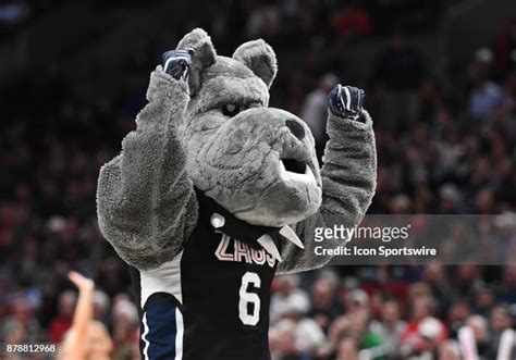 Gonzaga Mascot Photos and Premium High Res Pictures - Getty Images