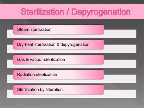 Pilot Plant Scale Up For Parenteral Dosage Form Ppt