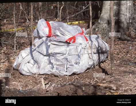 Space Shuttle Columbia Disaster Debris