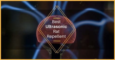 Best Electronic Ultrasonic Rat Repellent 2023 - Pest Survival Guide