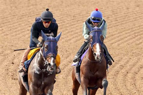 【宝塚記念】1週前追い ローシャムパークが美浦wコースで迫力走 戸崎圭太騎手「前走と遜色ない」｜競馬ニュース｜競馬予想のウマニティ