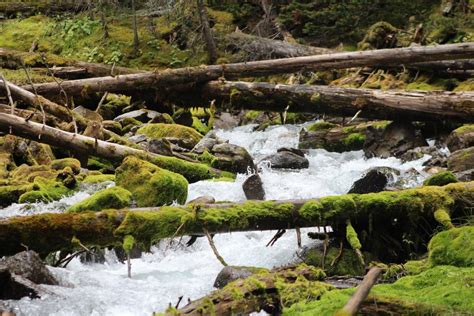 New ‘World Karst Aquifer Map’ to allow better global quantification of ...