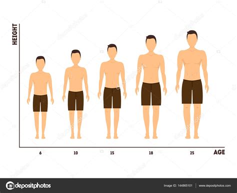 Yükseklik ve adam vektör çocuk büyüme yaşı ölçümü Stok Vektörü