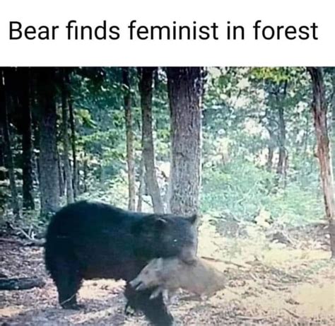 Actual Picture Of The Feminist Spending Time With The Bear 9gag