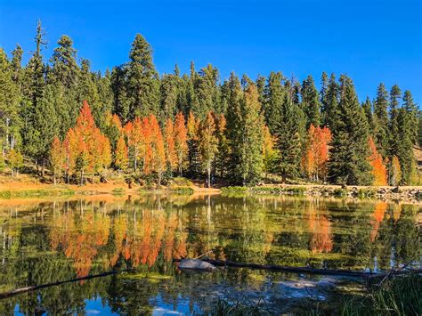 Aspen Mirror Lake In The Dixie National Forest Utah R Amateurearthporn