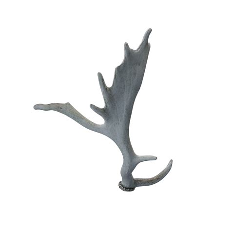 Fallow deer antlers 8 – BlenderBoom