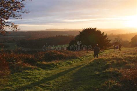 Sunset Over Surrey Hills At Newlands Corner Stock Image Image Of