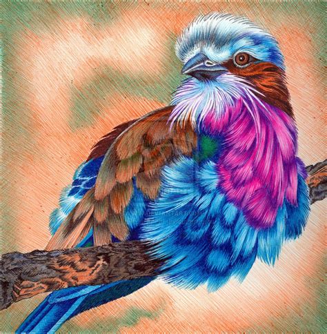 Painted Bird By Mitziebgood On Deviantart Birds Painting Colorful