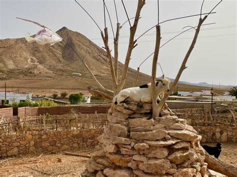 Fuerteventura najważniejsze atrakcje wyspy wycieczka krajoznawcza