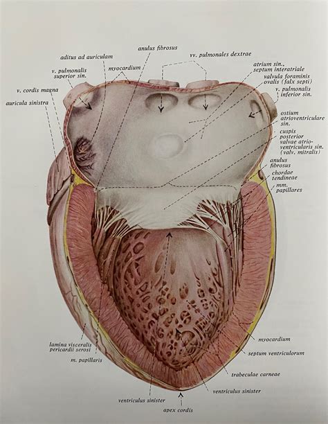 Memoraid Test Hart