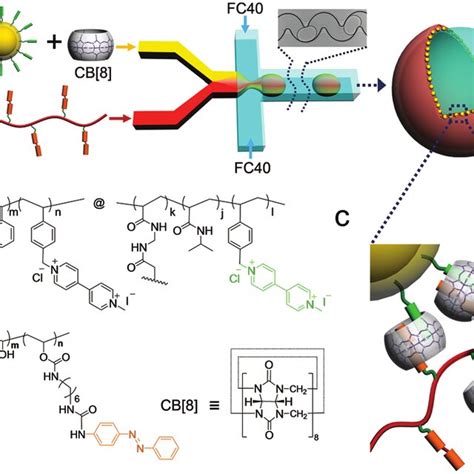 A Schematic Of The Preparation Of Supramolecular Colloidal