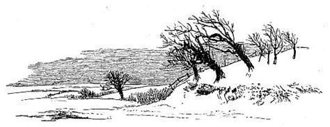 Winter Scene Sketch At Explore Collection Of