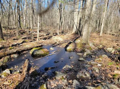 Best Hikes And Trails In Spring Hill Conservation Area Alltrails