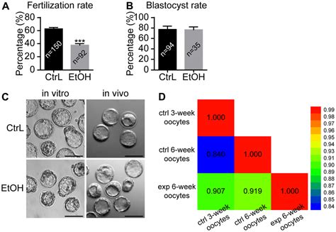 Insights Into The Adverse Effects Of Prepubertal Chronic Ethanol