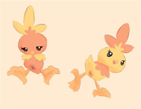 Agnph Gallery 397203 Female Labbit1337 Shiny Torchic