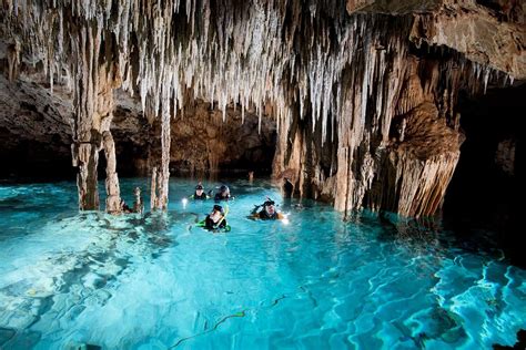 Snorkeling in cenotes - OM DELFIN Puerto Morelos