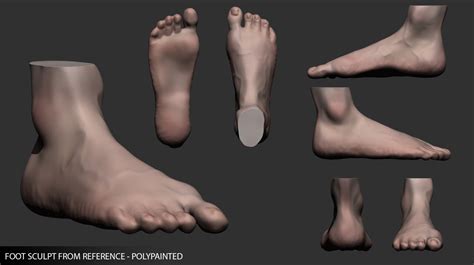 Artstation Zbrush Sculpt Of A Foot