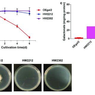 Physiological Assays Of Strain Hw On Galactose A Accumulation