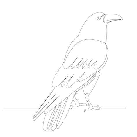 Premium Vector Raven One Continuous Line Drawing Sketch Vector