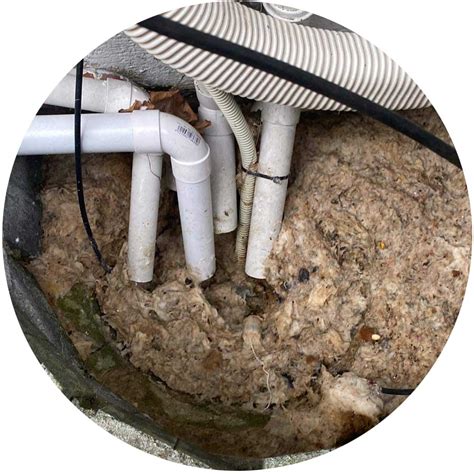 Drain Unblockers Auckland Repairs Unblocking Of Drains Toilets Sinks