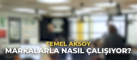 Danışmanlık Temel Aksoy Blog