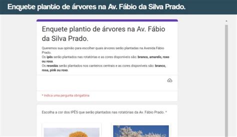 Prefeitura Abre Vota O Para Escolha Das Rvores Que Ser O Plantadas Na