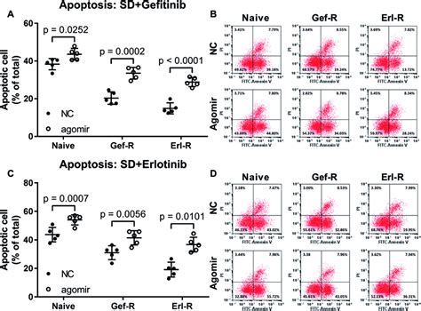 Pre Treatment With Mir 148a Agomir Sensitized Nsclc Cells To Gefitinib