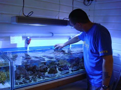 10 Tips for Setting Up a Reef Tank