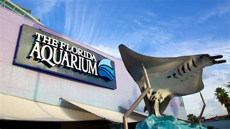 Florida Aquarium in Tampa, Florida | Expedia