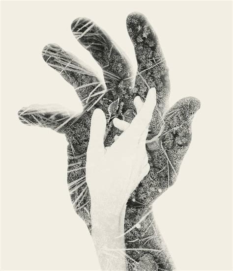 First Frost Limited Edition Of 6 Photography By Christoffer Relander Saatchi Art