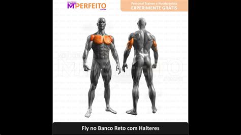 Fly No Banco Reto Com Halteres Músculos Trabalhados Youtube