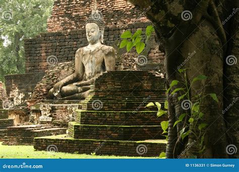 Sukhothai Jungle Temple Ruins Buddha Thailand Stock Image - Image: 1136331