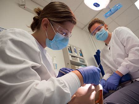 How To Become A Forensic Dental Assistant INFOLEARNERS