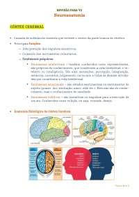 Resumo Sobre C Rtex Cerebral Docsity