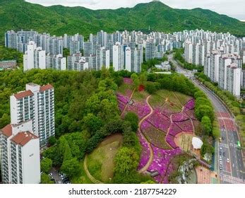 Sanbondong Gunposi Gyeonggido South Korea April Stock Photo