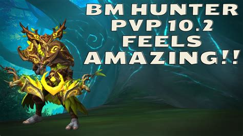 Bm Hunter Pvp 10 2 Feels Amazing Youtube