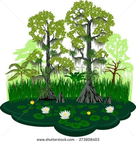 Cypress Over Royalty Free Licensable Stock Vectors Vector Art