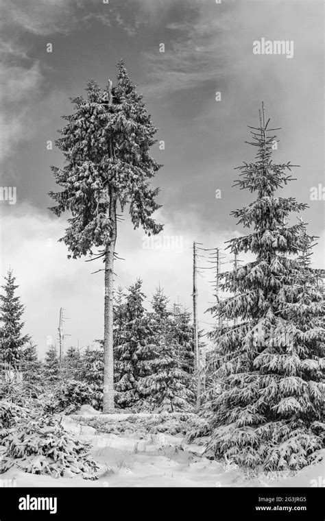 Landscape Brocken Black And White Stock Photos Images Alamy