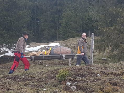 Bogenpark Emmetten Bogensch Tzen Nidwalden