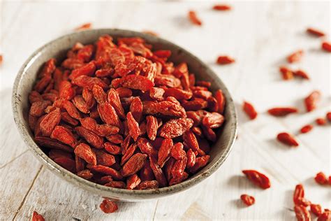 Les Baies De Goji Pour Am Liorer La M Moire Et La Concentration Cocktail