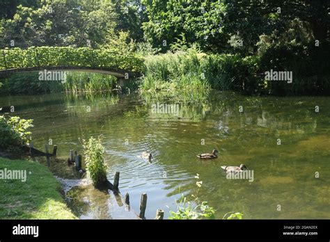 Gardens In Syon Park London Uk Stock Photo Alamy