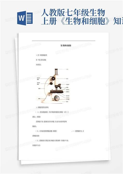 人教版七年级生物上册《生物和细胞》知识点word模板下载编号qnknjyen熊猫办公